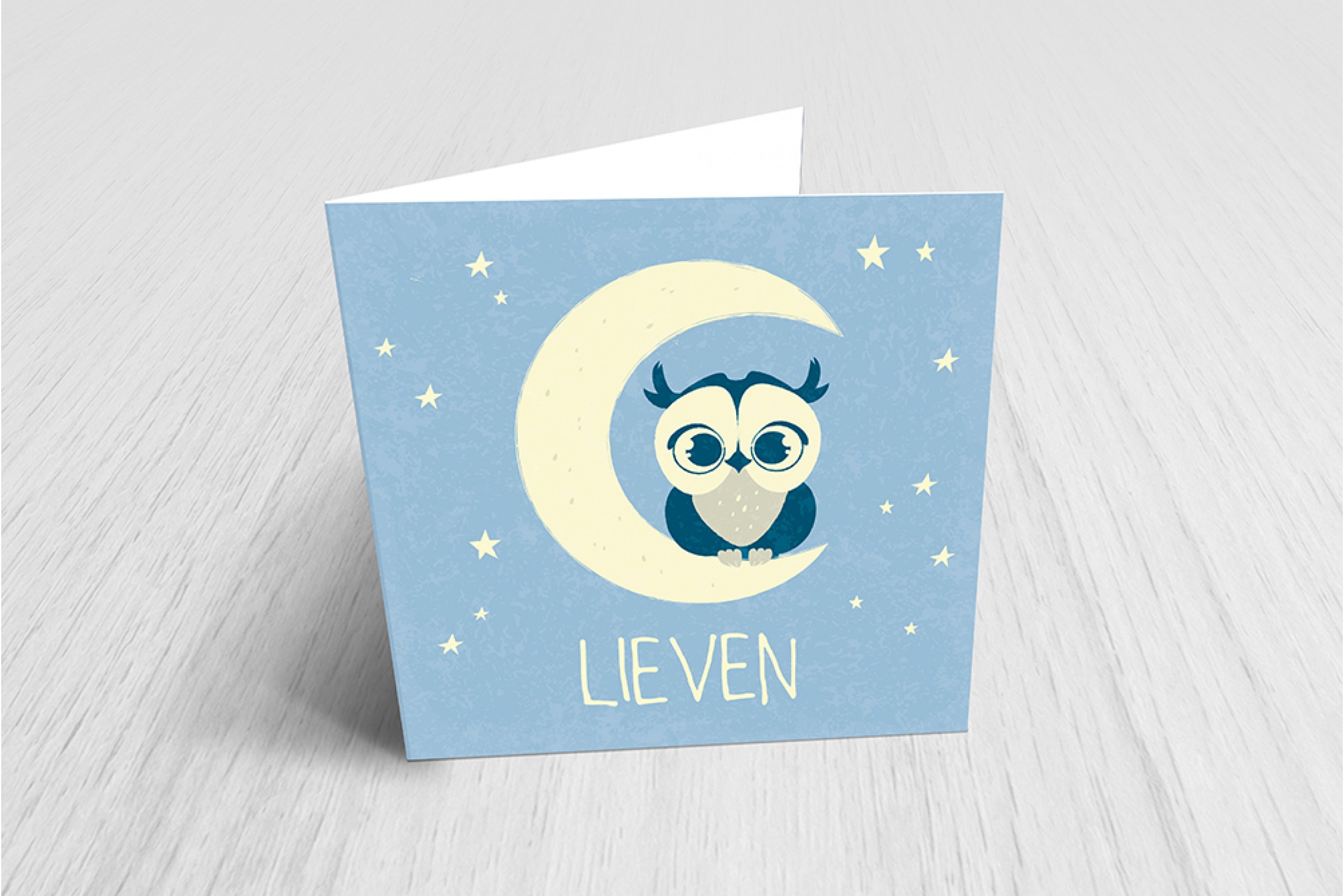 Uiltje op de maan